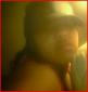 Chewi Gurl's picture